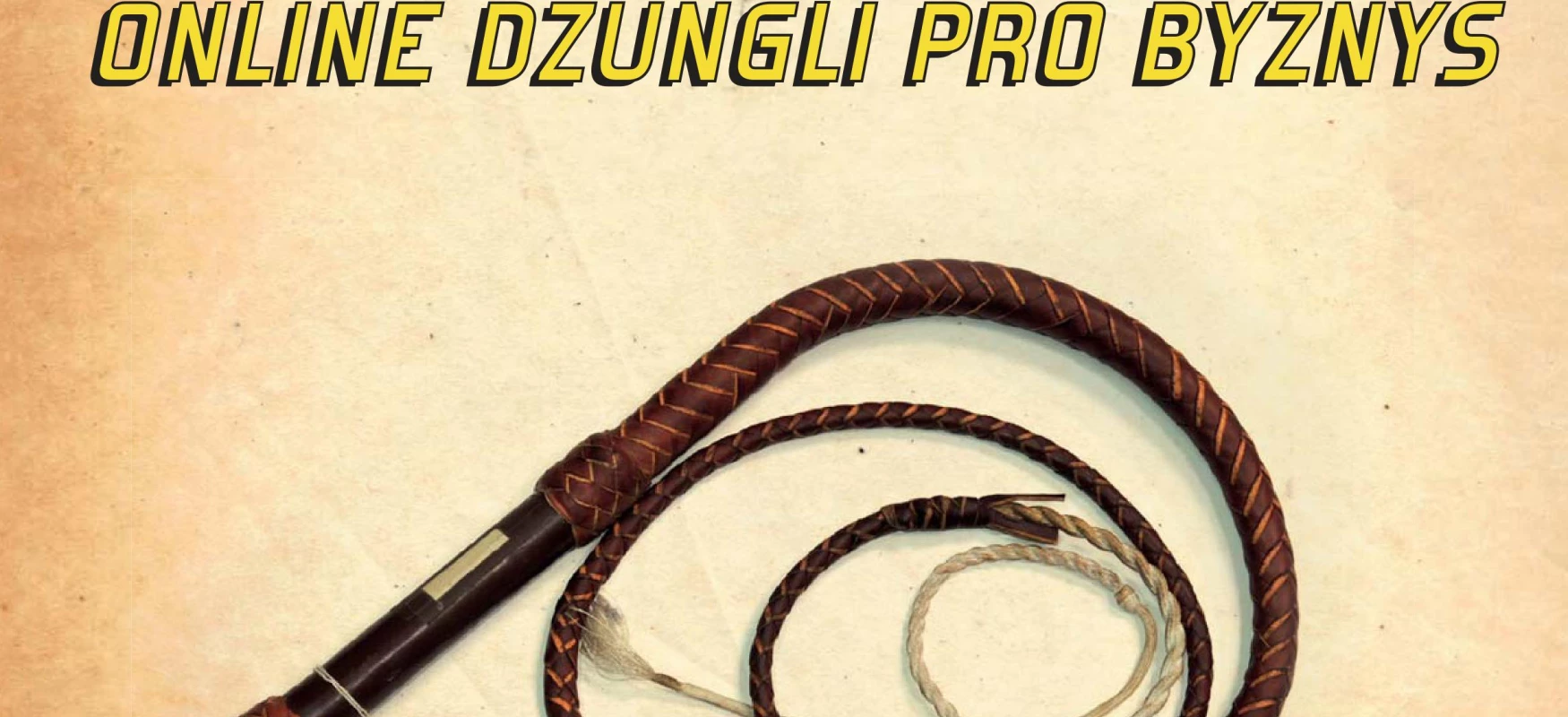 Jak zkrotit internetovou džungli pro byznys?